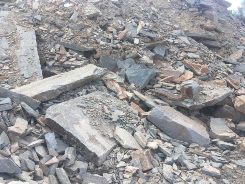 златолит серо-голубой для ландшафтного дизайна